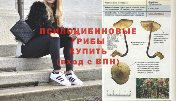 мет Арсеньев
