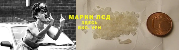 спиды Гусев