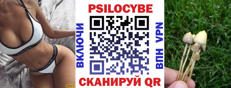 Псилоцибиновые грибы мухоморы  Усть-Джегута 